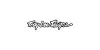 Troy Lee Designs